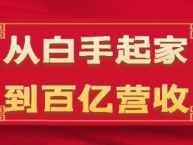 从白手起家到百亿营收，企业35年危机管理法则和幕后细节(17节)-天天学吧