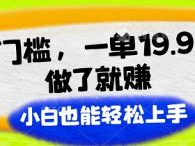 零门槛，一单19.9.做了就赚，小白也能轻松上手-天天学吧