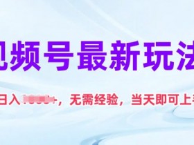 视频号最新玩法，日入1k+，无需经验，当天即可上手【揭秘】-天天学吧