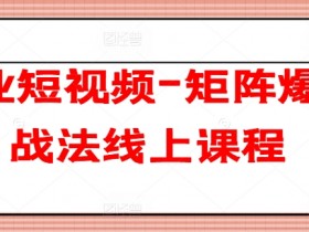 企业短视频-矩阵爆客战法线上课程-天天学吧