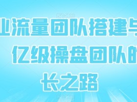 企业流量团队搭建与管理，亿级操盘团队的成长之路-天天学吧