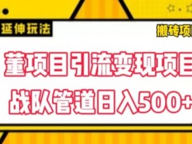 董项目推广引流变现玩法，低成本0撸，发起战队开团日入5张，正规平台推广无限裂变奖励-天天学吧