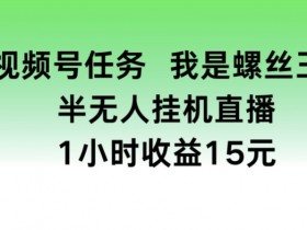 视频号任务，我是螺丝王， 半无人挂机1小时收益15元【揭秘】-天天学吧