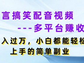 方言搞笑配音视频多平台赚收益，月入过w，小白都能轻松上手的简单副业-天天学吧