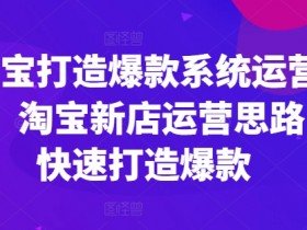 淘宝打造爆款系统运营课，淘宝新店运营思路，快速打造爆款-天天学吧