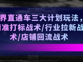 无界直通车三大计划玩法，精准打标战术/行业拉新战术/店铺回流战术-天天学吧