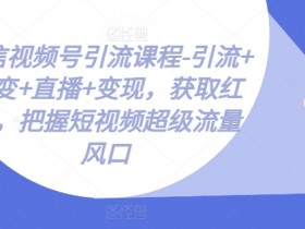 微信视频号引流课程-引流+裂变+直播+变现，获取红利，把握短视频超级流量风口-天天学吧