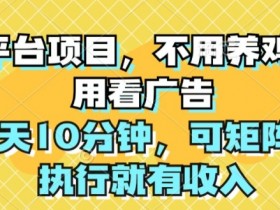 大平台项目，不用养鸡，不用看广告，每天10分钟，可矩阵，执行就有收入-天天学吧