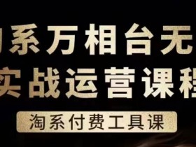 淘系万相台无界实战运营课，淘系付费工具课-天天学吧