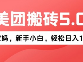 2024年美团搬砖5.0.无论是新手还是宝妈都可轻松驾驭，可长久发展的蓝海项目-天天学吧