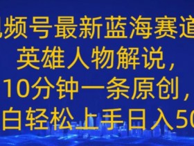 视频号最新蓝海赛道，英雄人物解说，10分钟一条原创，小白轻松上手日入几张-天天学吧