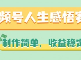 视频号人生感悟赛道，制作简单，收益稳定【揭秘】-天天学吧