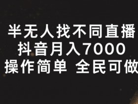 半无人找不同直播，月入7000+，操作简单 全民可做【揭秘】-天天学吧