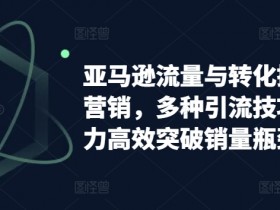 亚马逊流量与转化提升整合营销，多种引流技巧讲解助力高效突破销量瓶颈-天天学吧