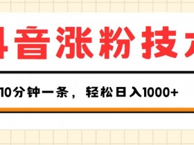 抖音涨粉技术，1个视频涨500粉，10分钟一个，3种变现方式，轻松日入1K+【揭秘】-天天学吧