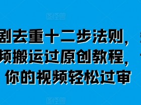 短剧去重十二步法则，短视频搬运过原创教程，让你的视频轻松过审-天天学吧