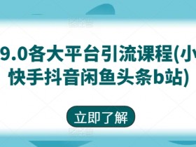 最新9.0各大平台引流课程(小红书快手抖音闲鱼头条b站)-天天学吧