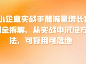 中小企业实战手册流量增长案例全拆解，从实战中沉淀方法，可复用可落地-天天学吧