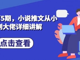 私教课第5期，小说推文从小白到大佬详细讲解-天天学吧