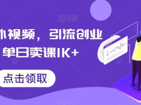 搬运国外视频，引流创业粉，单日卖课1K+【揭秘】-天天学吧