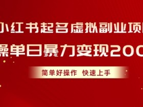 小红书起名虚拟副业项目，实操暴力变现，简单好操作，快速上手-天天学吧