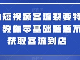 实体短视频客流裂变特训营，教你零基础源源不断获取客流到店-天天学吧