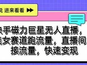 快手磁力巨星无人直播，ai美女赛道跑流量，直播间承接流量，快速变现-天天学吧