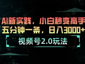 视频号2.0玩法，AI新实践，小白秒变高手，五分钟一条，小白变高手-天天学吧