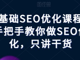 零基础SEO优化课程，手把手教你做SEO优化，只讲干货-天天学吧