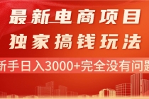 最新电商项目-搞钱玩法，新手日入3000+完全没有问题-天天学吧