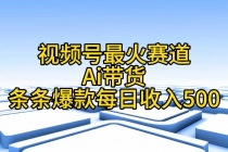 视频号最火赛道——Ai带货条条爆款每日收入500-天天学吧