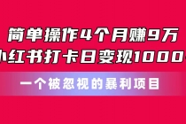 简单操作4个月赚9万！小红书打卡日变现1000+！一个被忽视的暴力项目-天天学吧