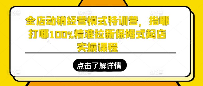 图片[1]-全店动销经营模式特训营，指哪打哪100%精准拉新保姆式起店实操课程-天天学吧