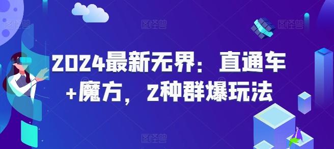 图片[1]-2024最新无界：直通车+魔方，2种群爆玩法-天天学吧