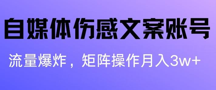 图片[1]-自媒体伤感文案账号，制作简单，流量爆炸账号很容易复制，矩阵月入1W+-天天学吧