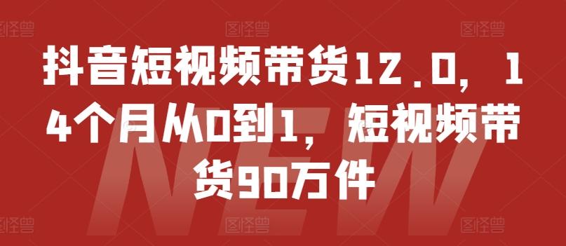 图片[1]-抖音短视频带货12.0，14个月从0到1，短视频带货90万件-天天学吧