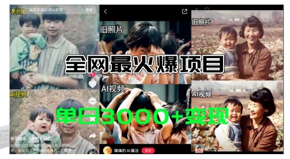 图片[1]-全网爆火的AI让老照片动起来教程，蹭热点日赚3k+，内含免费工具一键可生成【揭秘】-天天学吧