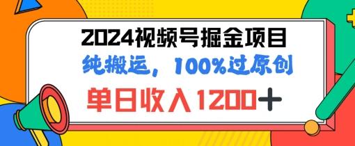 图片[1]-2024暑假视频号掘金赛道，100%过原创玩法，1分钟一个视频，专为小白打造-天天学吧