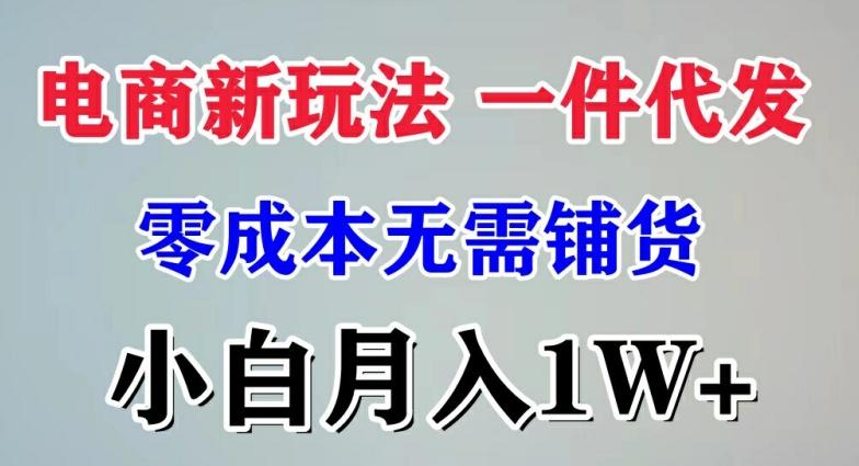 图片[1]-电商新玩法 一件代发,零成本无需铺货，小白月入1W+-天天学吧