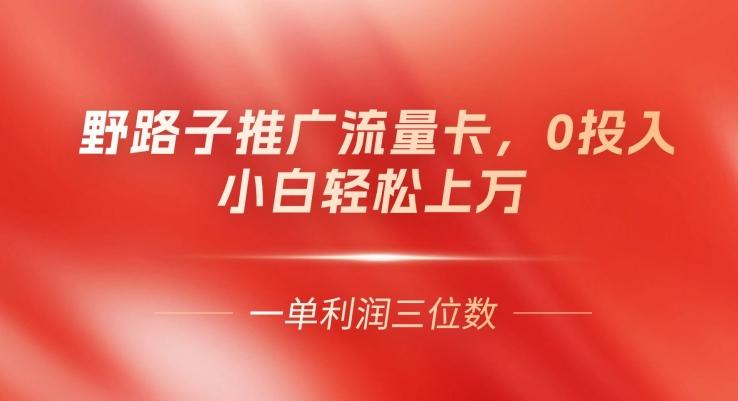 图片[1]-野路子推广流量卡，一单利润上百，0投入，小白轻松上万-天天学吧