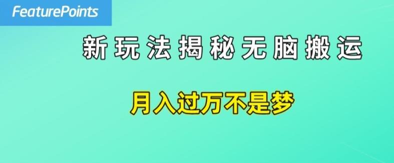 图片[1]-简单操作，每天50美元收入，搬运就是赚钱的秘诀【揭秘】-天天学吧