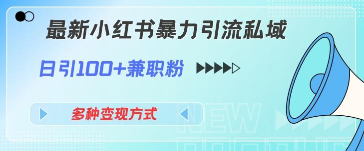 图片[1]-最新小红书暴力引流私域玩法，日引100+兼职粉，多种变现方式-天天学吧