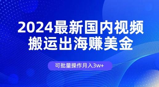 图片[1]-2024最新国内视频搬运出海赚美金，可批量操作月入3w-天天学吧