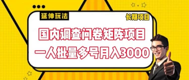 图片[1]-国内调查问卷矩阵项目，一人批量多号月入3000【揭秘】-天天学吧