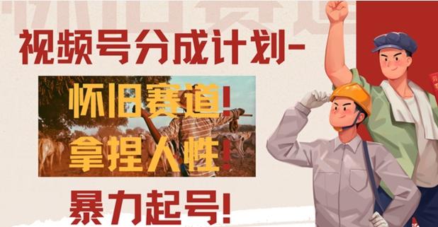 图片[1]-视频号分成计划-怀旧赛道，原创技术，暴力起号-天天学吧