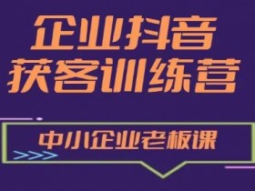 企业抖音营销获客增长训练营，中小企业老板必修课-天天学吧