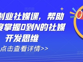 外贸创业社媒课，帮助你深度掌握0到N的社媒开发思维-天天学吧