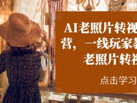 AI老照片转视频实战营，一线玩家教你AI老照片转视频-天天学吧