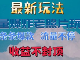 最新流量爆炸的老照片玩法，条条爆款，流量不停，日收300+-天天学吧