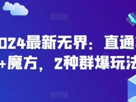 2024最新无界：直通车+魔方，2种群爆玩法-天天学吧